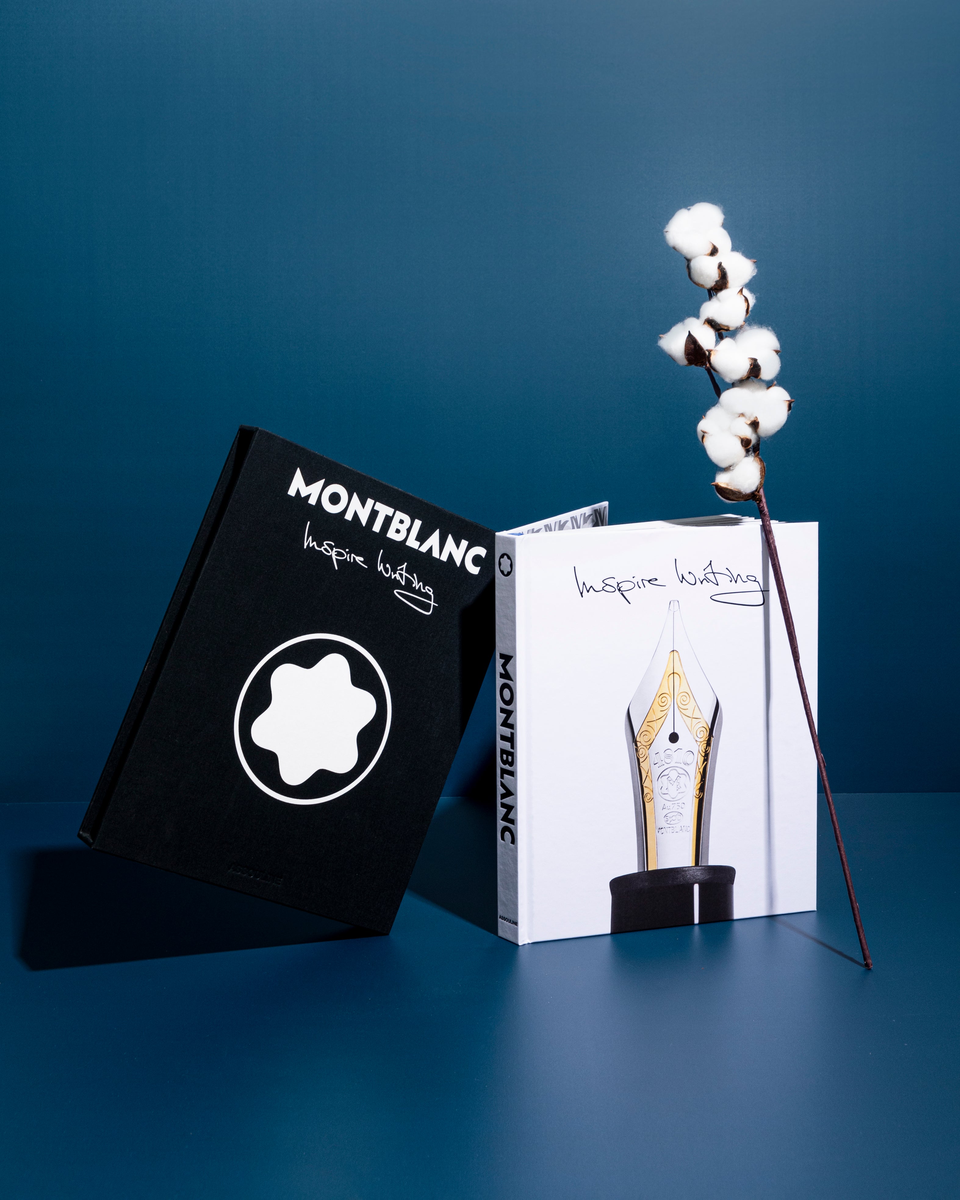 Montblanc inspire online writing