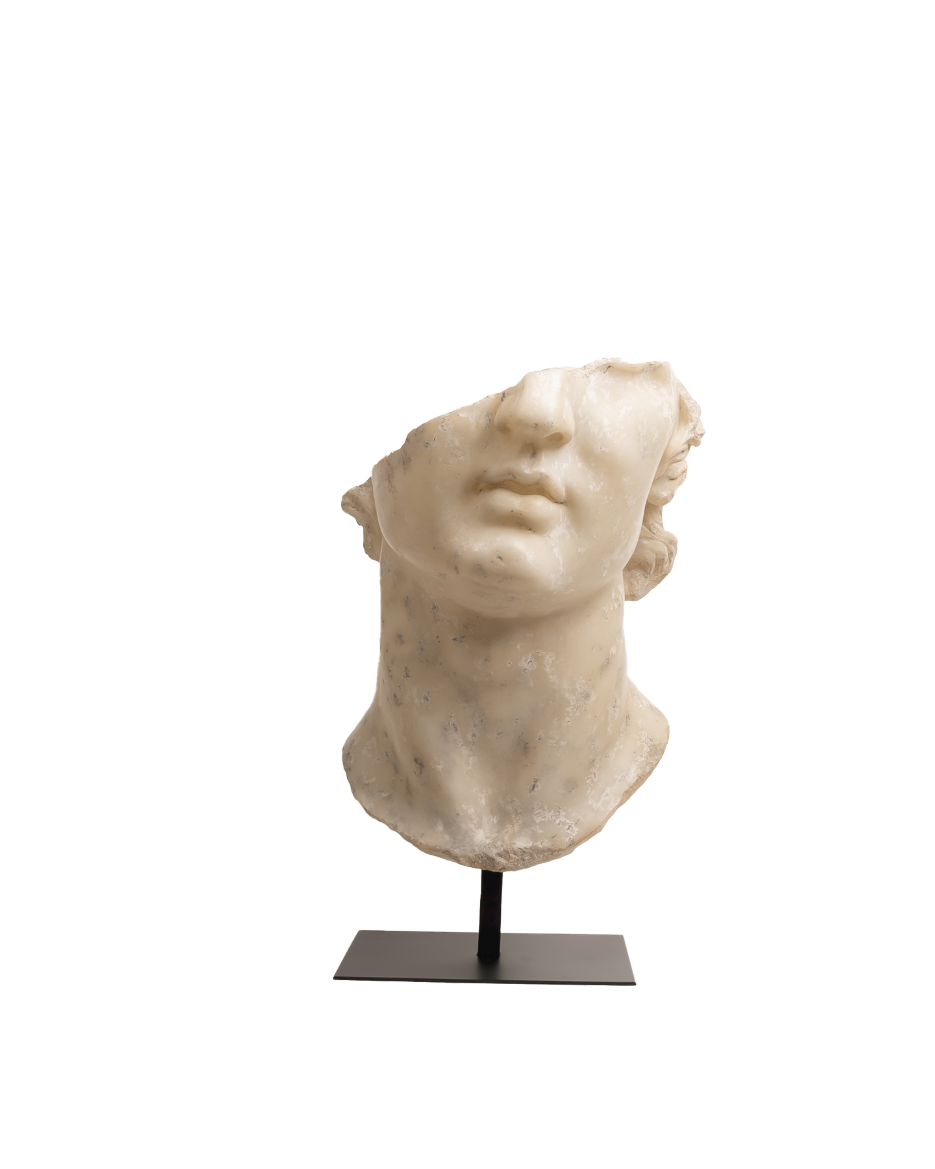 Ate - Fragment of Apollo from Metropolitan Museum - Maison SIA