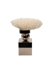 Petri- Coral Reef Table Decoration with Nickel Plate with Ball - Maison SIA