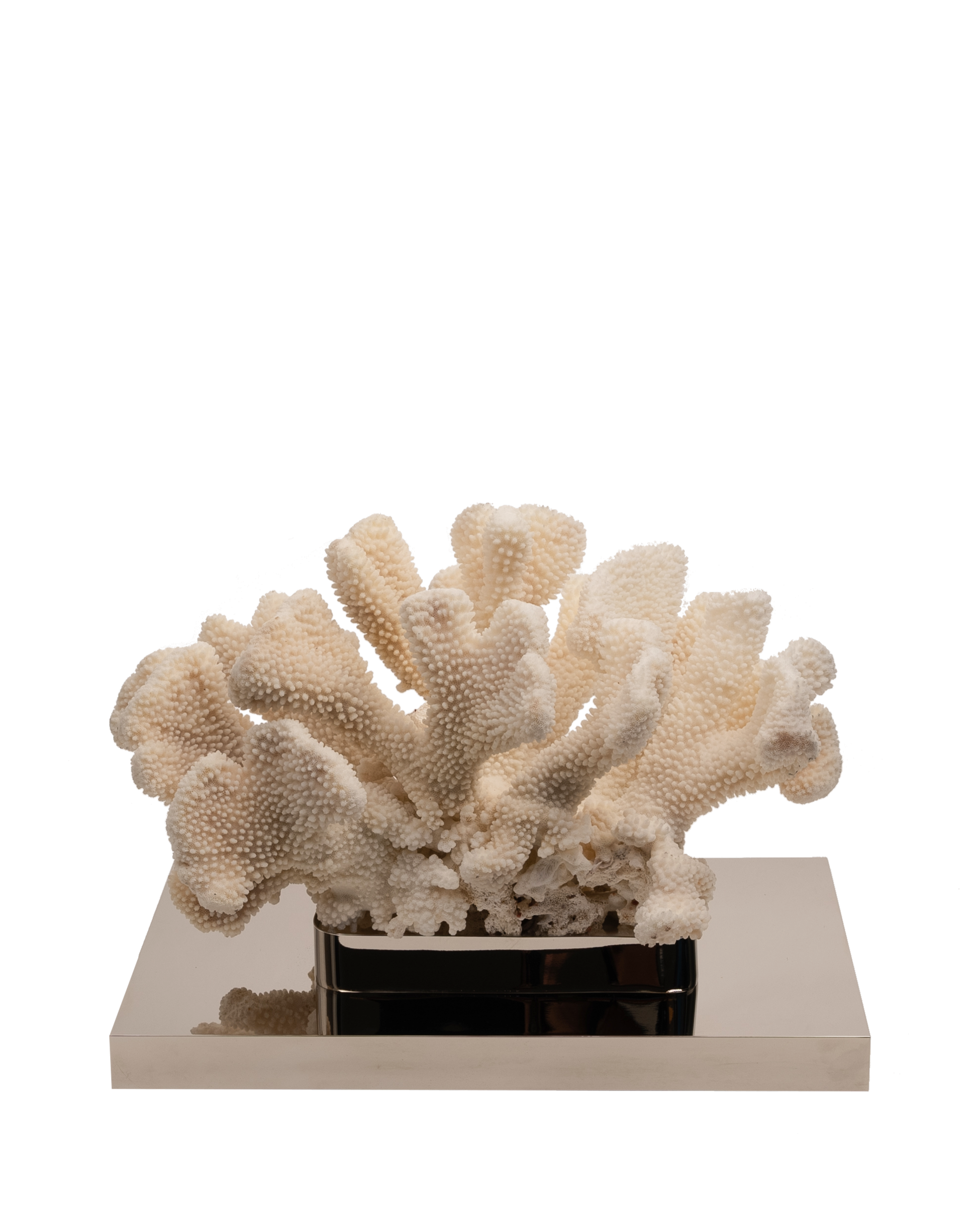 Petri- Coral Reef Table Sculpture on Nickel-Plated Base - Maison SIA