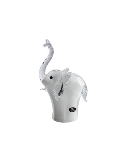 Elephant baby white