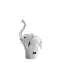 Elephant baby white