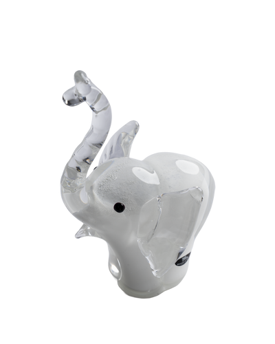 Elephant baby white