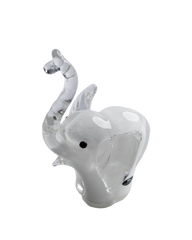 Elephant baby white