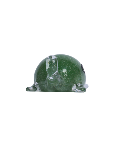 Tortoise mini green & silver