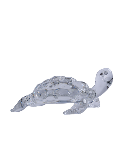 Tortoise small transparent