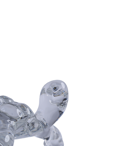 Tortoise small transparent