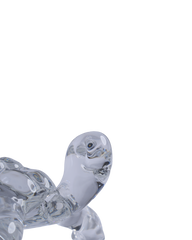 Tortoise small transparent