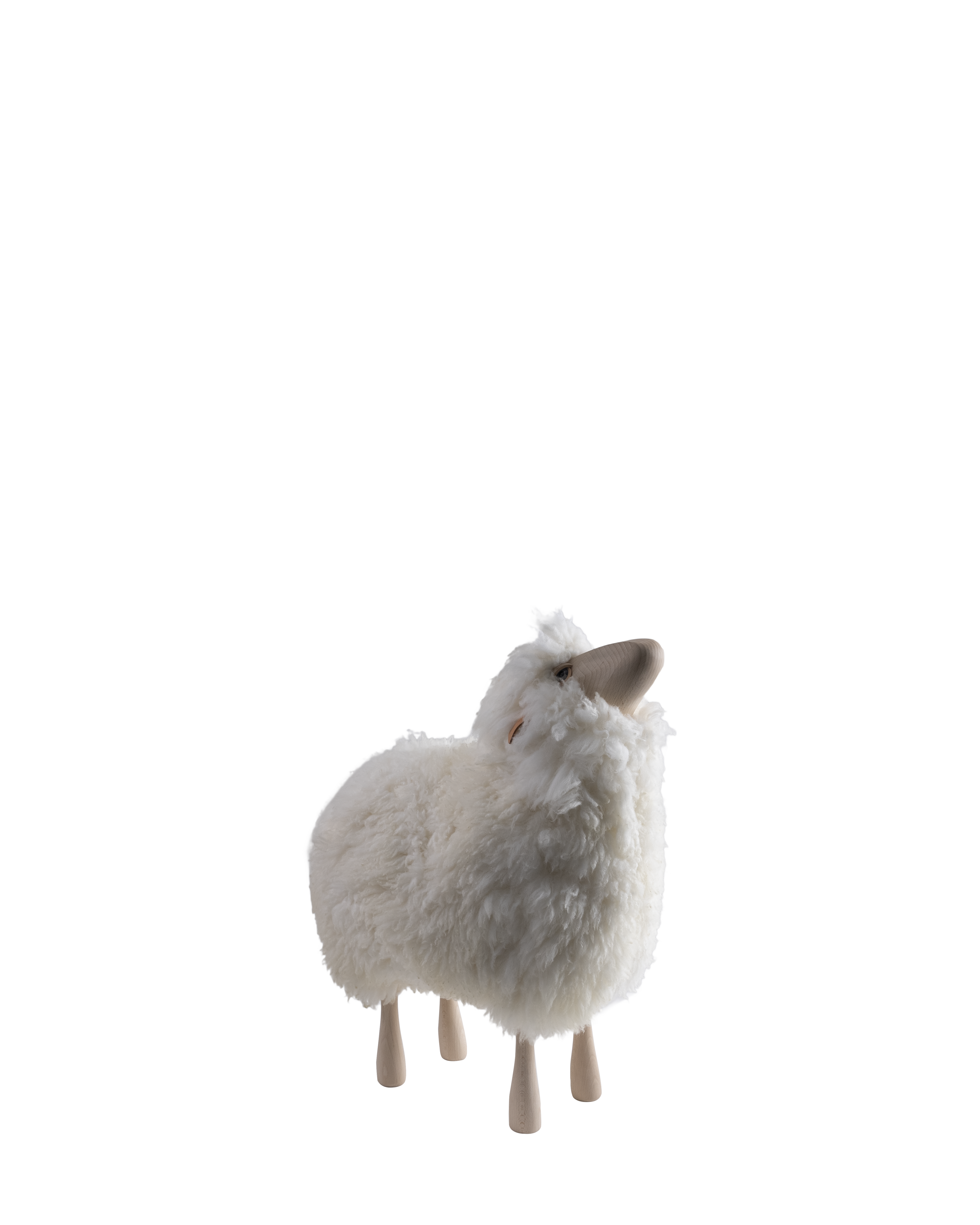 Lifesize small natural wood head up white Sheep