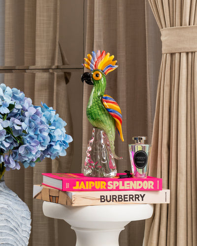 Parrot cacatua green & colored big