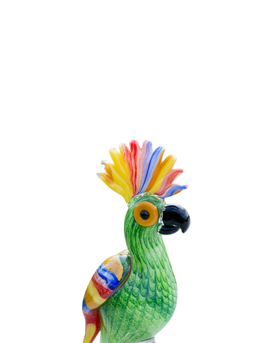 Parrot cacatua green & colored big