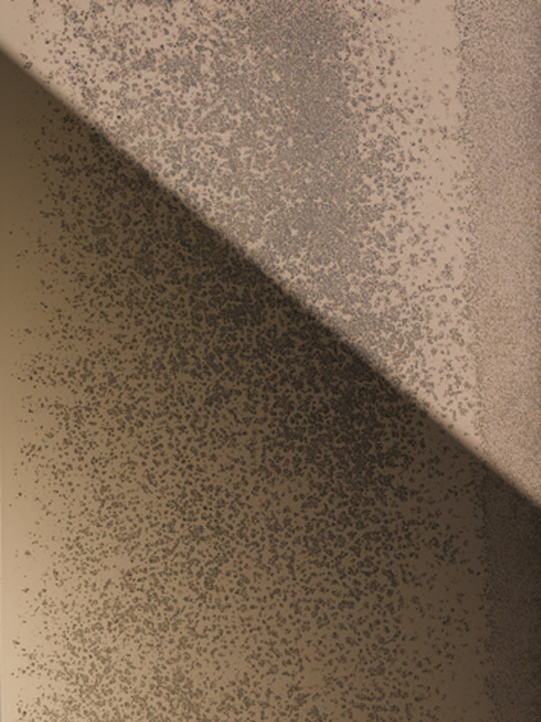 BRONZE GLASS WITH MEDIUM ANTIQUE MIRRORED FINISH