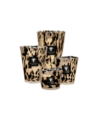 Black Pearls Candle Max 24