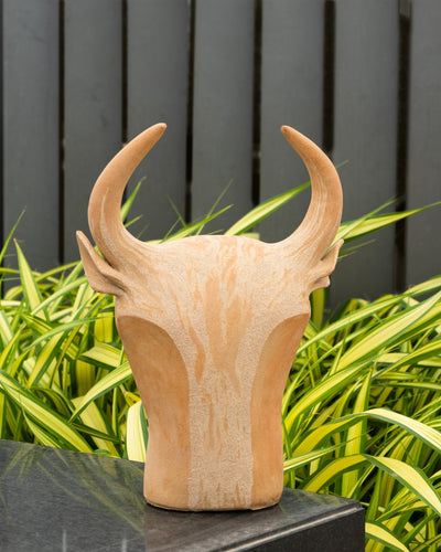 Bull Head to Pose in Beige