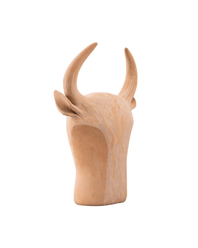 Bull Head to Pose in Beige