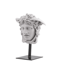 Bust Medusa