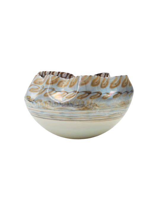 Caraibi Artisan Centerpiece - Maison SIA