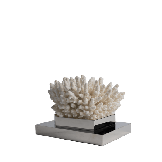 Coral On Brass Base - Maison SIA