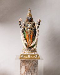 Divine Reflection Lord Balaji