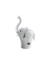 Elephant baby white