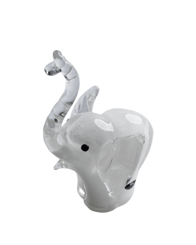 Elephant baby white