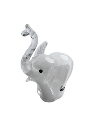 Elephant baby white
