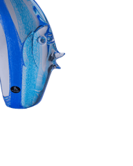 Fish amore blue & aquamarine