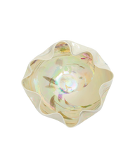 Fossile Grand Centerpiece