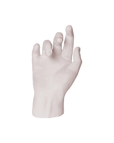 Hand Study