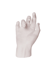 Hand Study