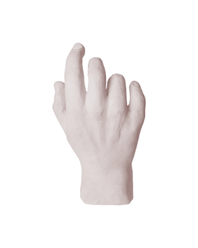 Hand Study