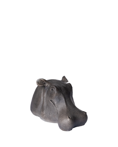 Hippopotamus Head