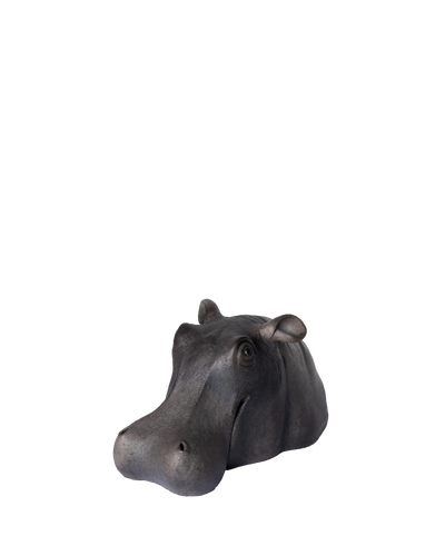 Hippopotamus Head