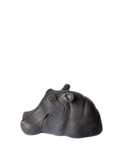 Hippopotamus Head