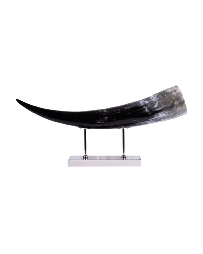 Horizontal Horn