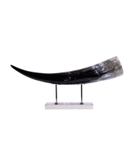 Horizontal Horn