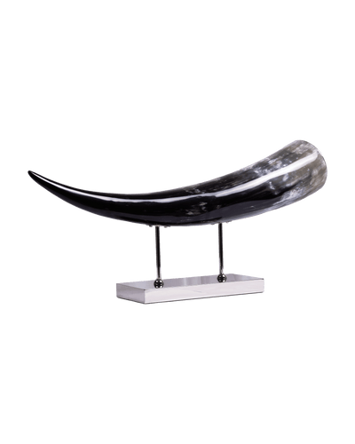 Horizontal Horn