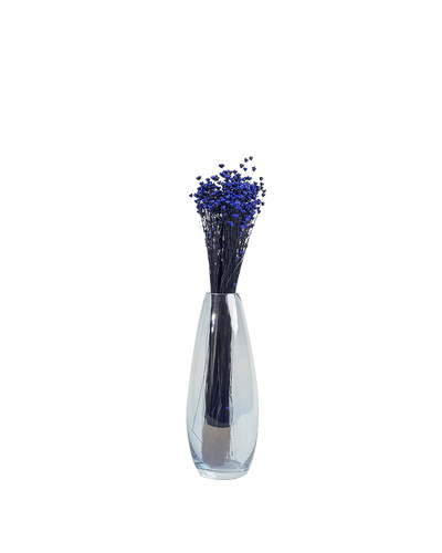 LC - Blue Purple Dried Glixia