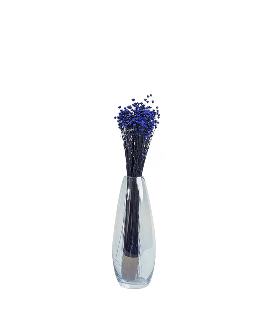 LC - Blue Purple Dried Glixia - Maison SIA