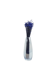 LC - Blue Purple Dried Glixia