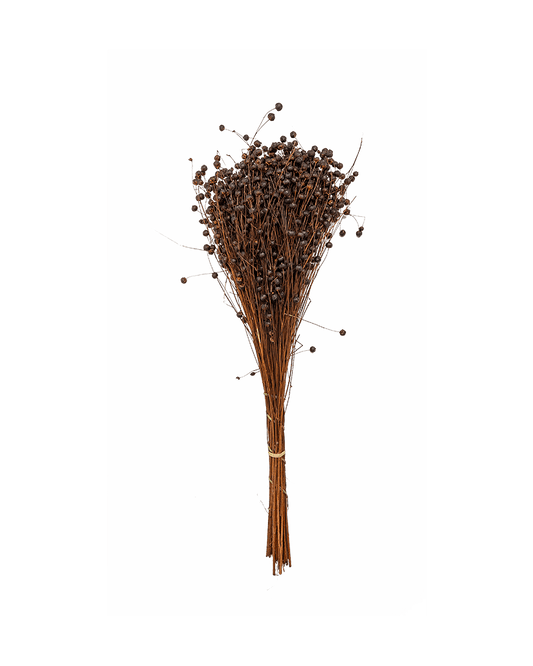 LC - Dark Brown Dried Flax - Maison SIA