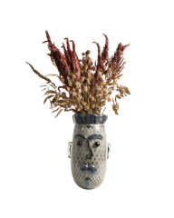 LC-Natural dried amaranthus