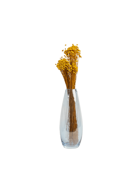 LC - Yellow Dried Glixia - Maison SIA