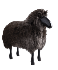 Life size medium head up black wood brown sheep