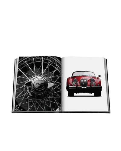 Miles Nadal Iconic: Art, Design, Advertising, and the Automobile