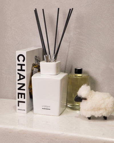 Minimal Boisse Mousee Reed Diffuser in white ceramic jar