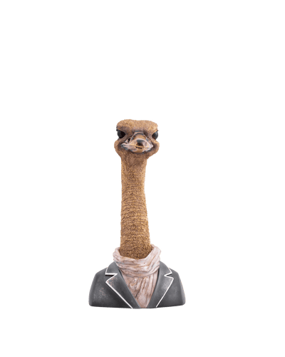 Ostrich