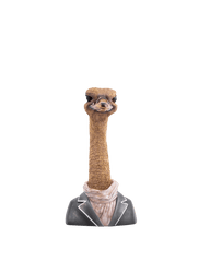 Ostrich