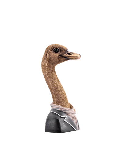 Ostrich