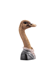 Ostrich